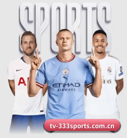 tv-333sports.com.cn的方向 - 长期内容价值积累
